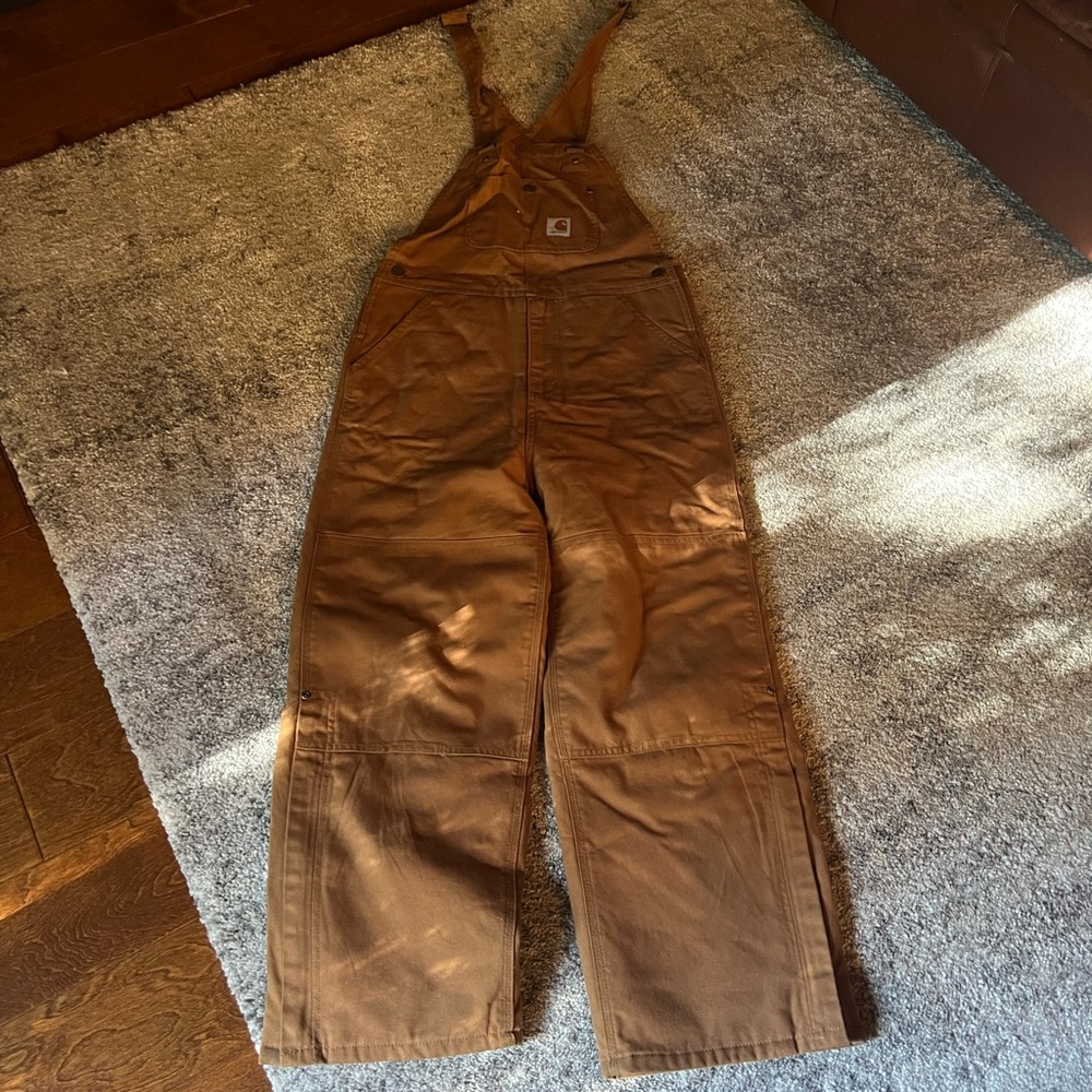 Carhartt insulated overalls